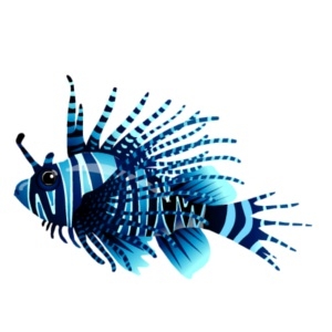 Navy Stripe Lionfish